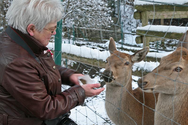 Bayerwald Tierpark_20.jpg